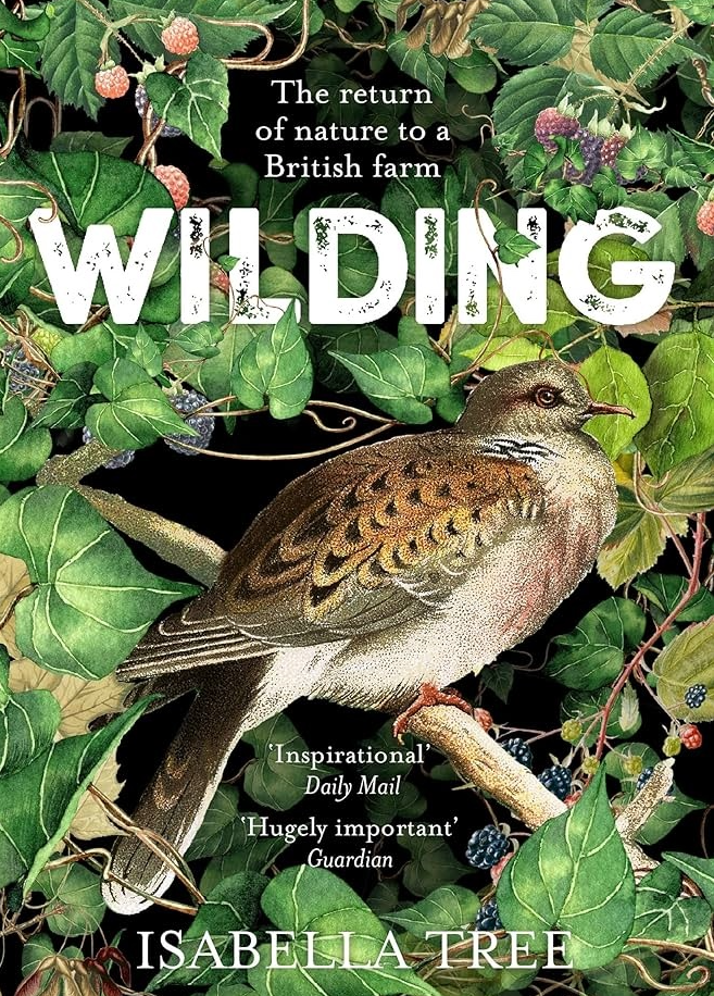 Wilding cover