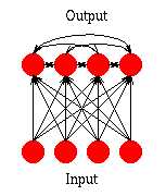 Competitive network