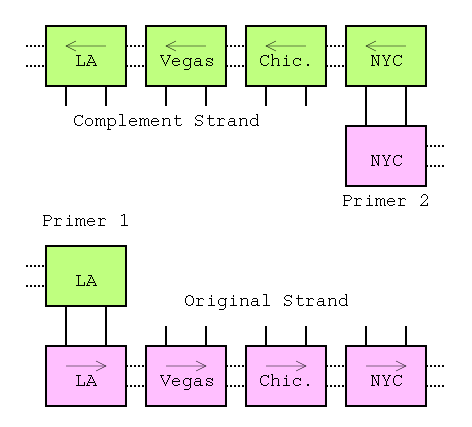 Soeing DNA Computing Slideshow (5 of 9)