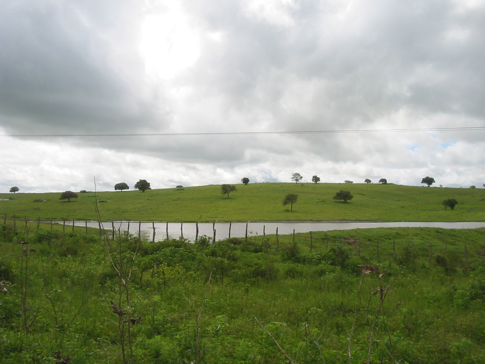 Rural field, Brazil (public domain)